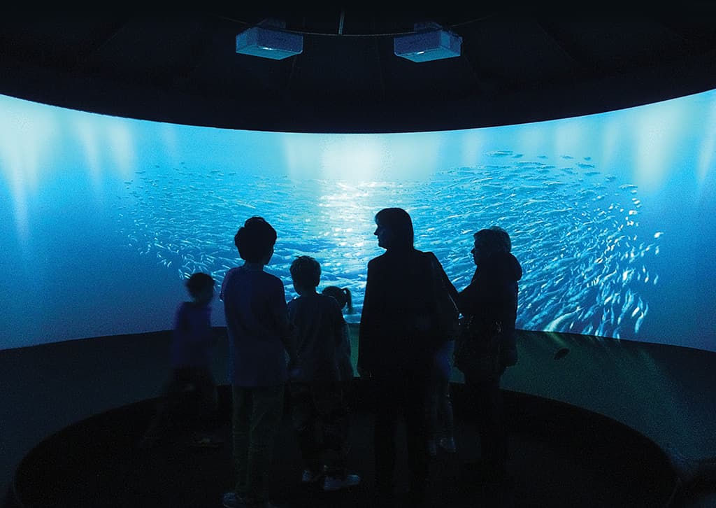 Fish-Boil-Up_Projectors-1-pichi