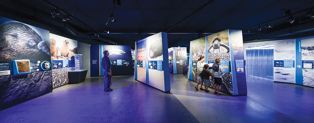 5345_antarctic_journey_nobbies_centre_phillip_island_print-pichi