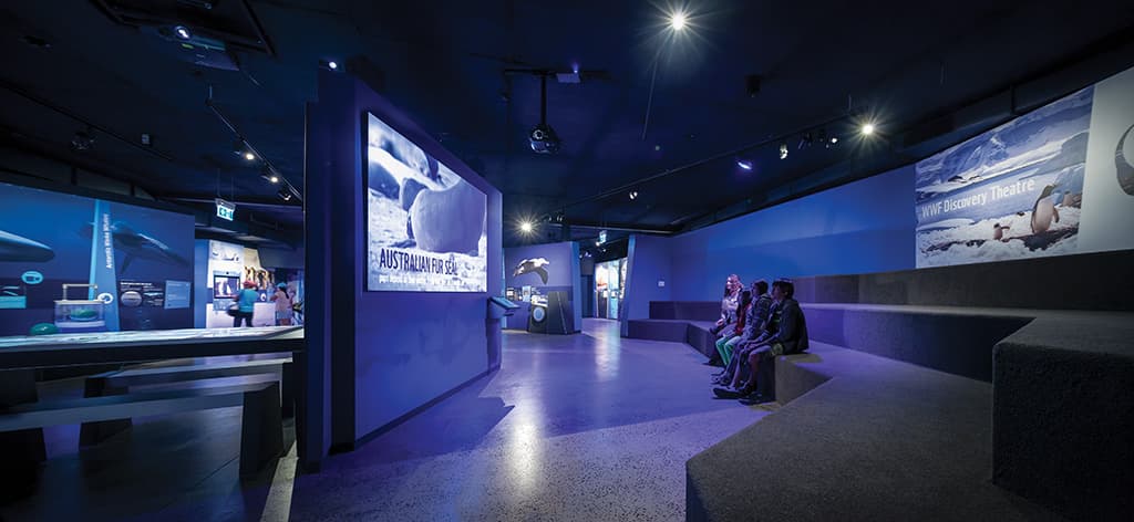5370_antarctic_journey_nobbies_centre_phillip_island_print-pichi
