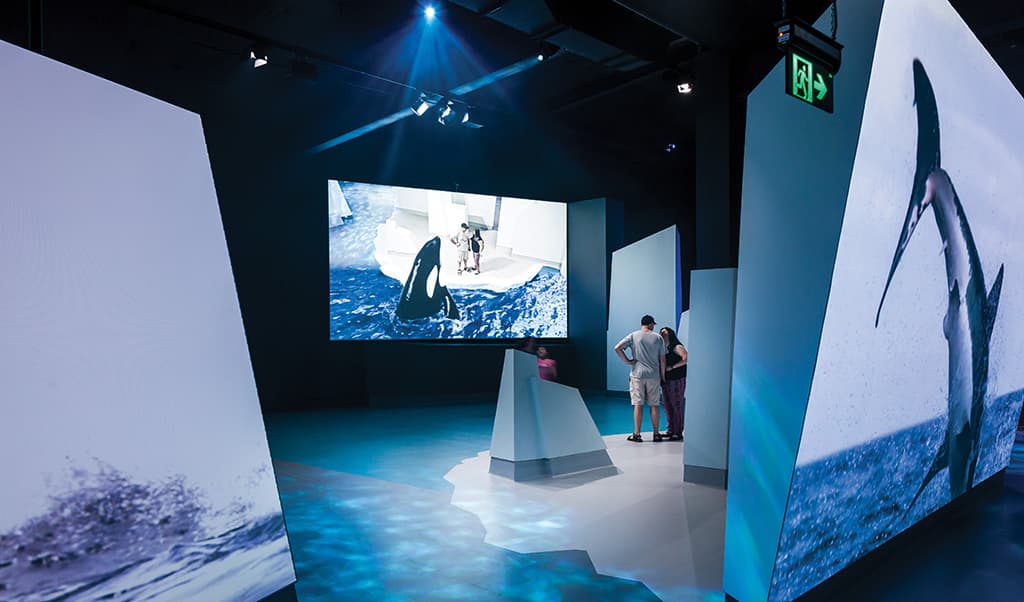 5611_antarctic_journey_nobbies_centre_phillip_island_print-pichi