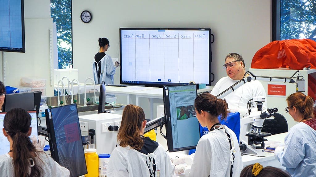 LEES-Lab-Class-pichi