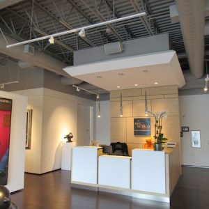 electro-voice houston art gallery