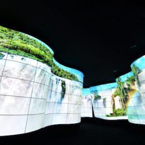 lg oled canyon ise 2018