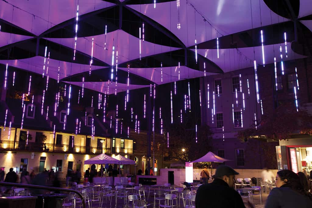 vivid_mandylights2-pichi