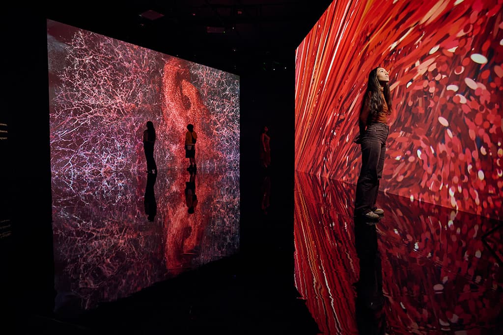 Evolver-by-Marshmallow-Laser-Feast,-Works-of-Nature,-ACMI,-2023,-image-by-Eugene-Hyland_2-pichi