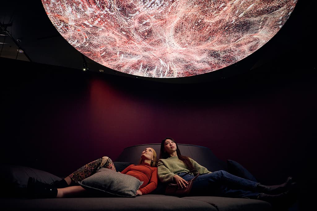 Evolver-by-Marshmallow-Laser-Feast,-Works-of-Nature,-ACMI,-2023,-image-by-Eugene-Hyland_8-pichi