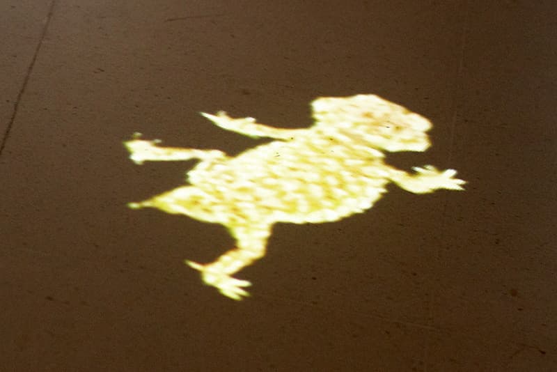 GeckoPro2-pichi