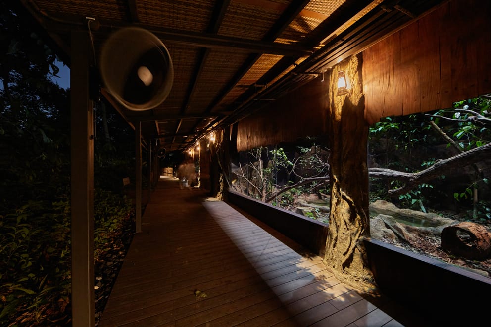 Mandai Night Safari x Martin Professional1