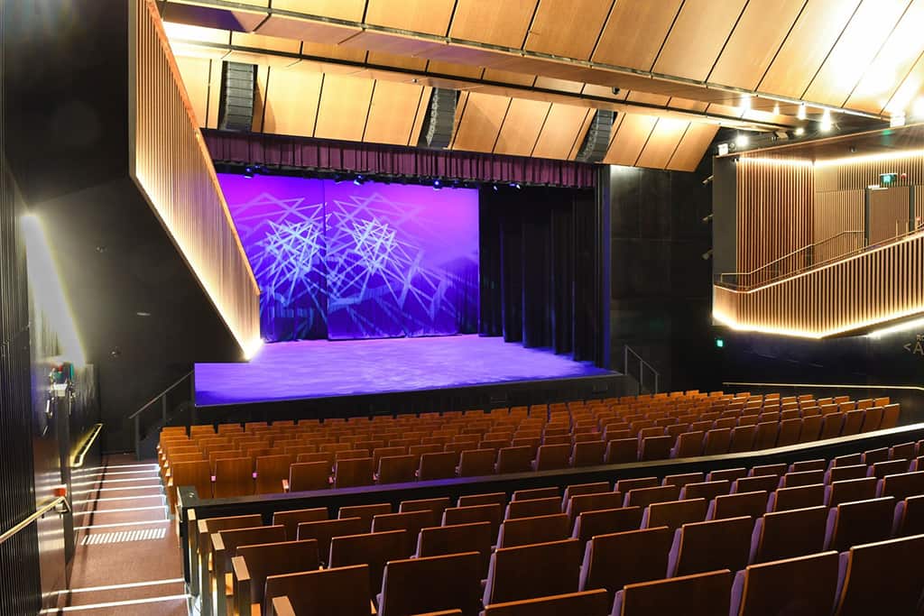 Arthouse-4-pichi
