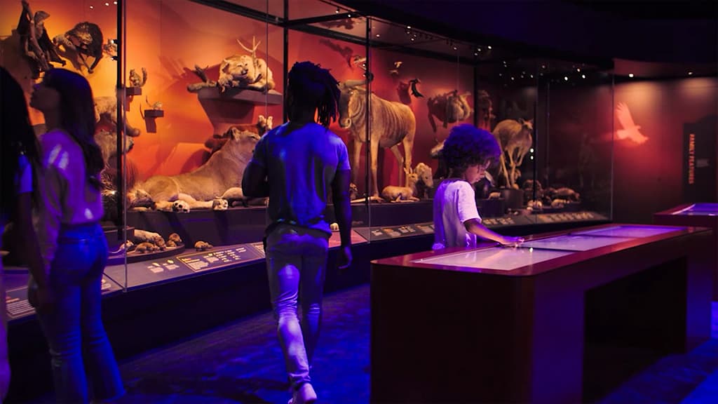 EPSON_Melbourne-Museum.00_00_13_02.Still004-pichi