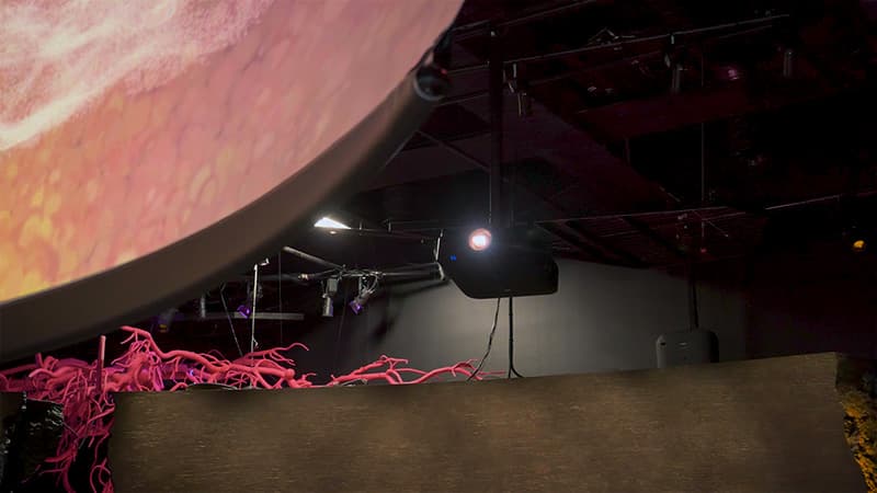 EPSON_Melbourne-Museum.00_01_12_22.Still015-pichi